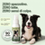 Spray Dentale BauPaw™ – Elimina i batteri che causano tartaro e alito cattivo nei cani